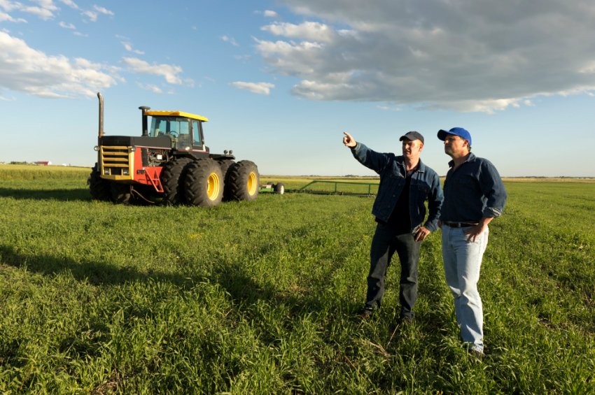 Злочинці з Миколаївської області незаконно заволоділи майном сільгосппідприємств