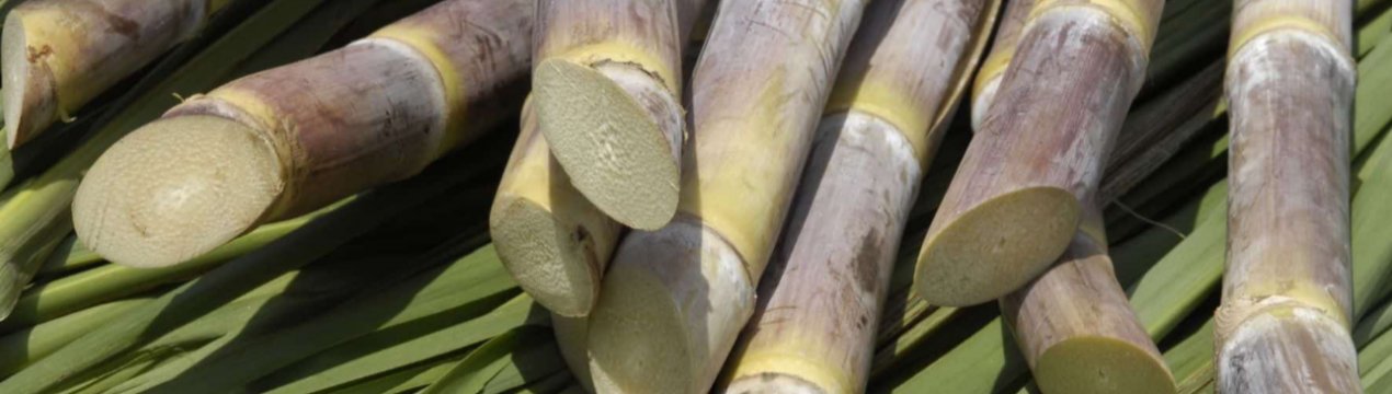 У бюджеті Індії немає коштів для реформування сільського господарства