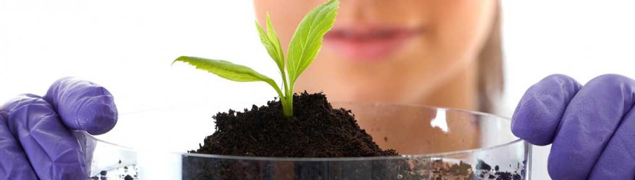 У Рівненській області досі не утилізовані ЗЗР часів СРСР