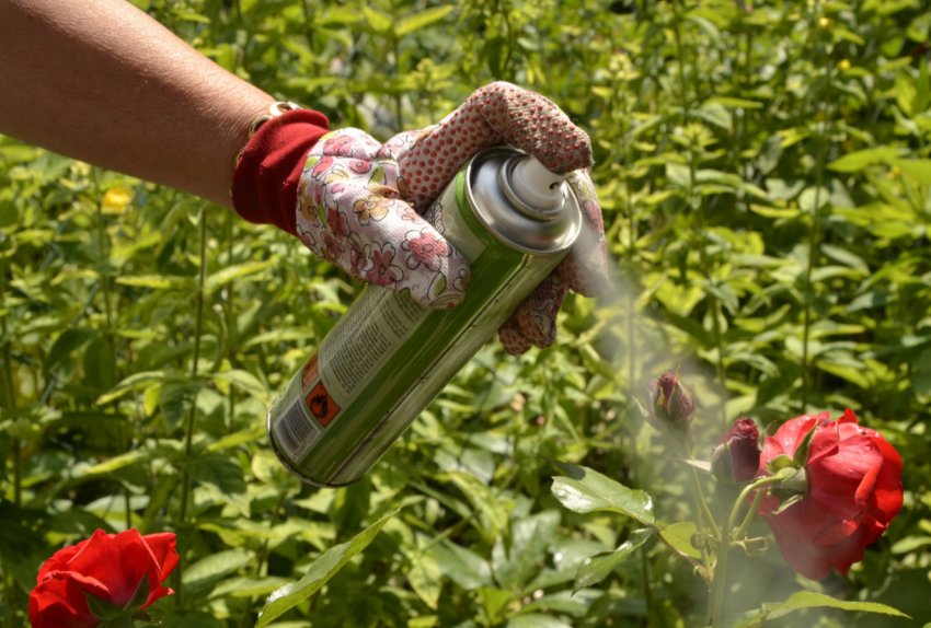 В Рівненській області досі не утилізовані ЗЗР часів СРСР