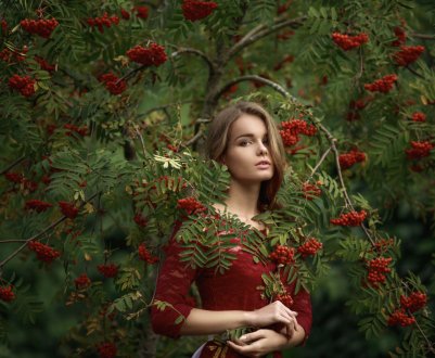 Калина червона: користь і шкода для здоров'я жінки