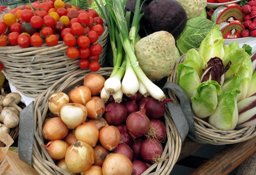 Вінницька область стала лідером виробництва сільгосппродукції