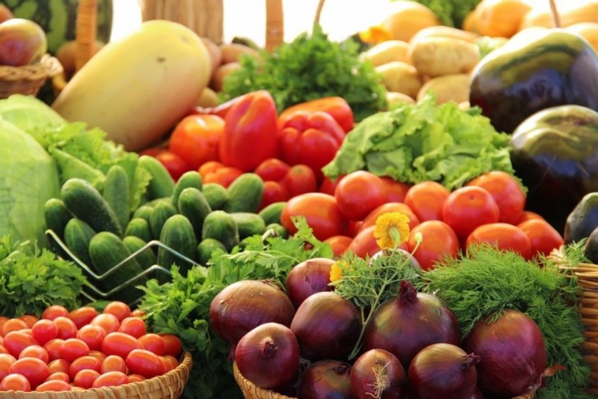 Вінницька область стала лідером виробництва сільгосппродукції