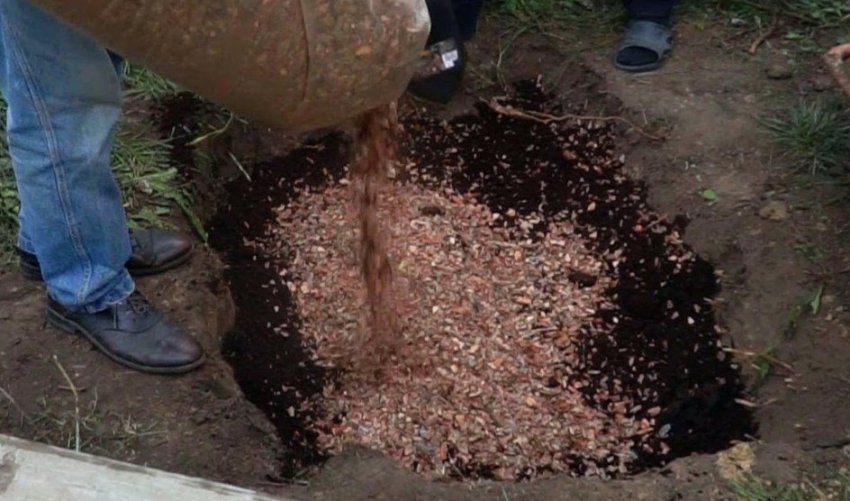 Підготовка ґрунту для посадки