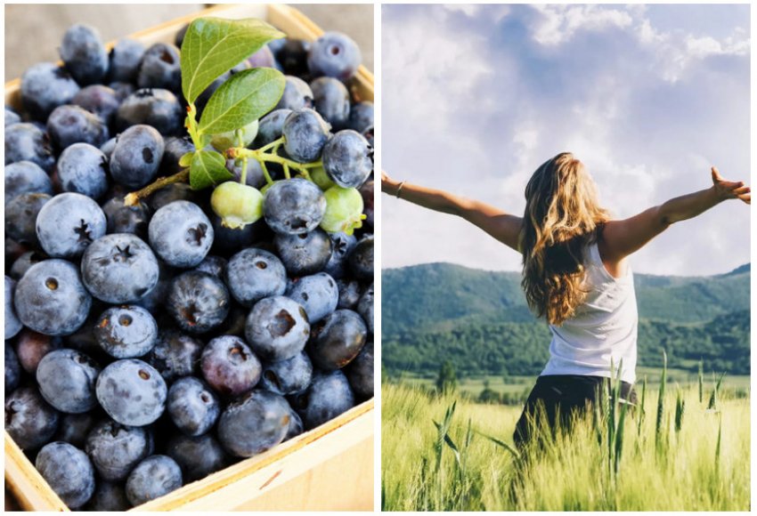 Користь лохини