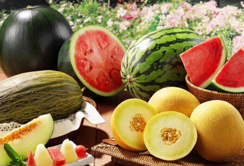 Краснодар потопає в кавунах і динях