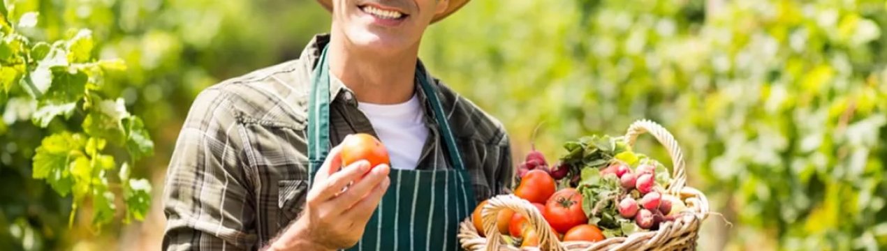 Фермери США отримають державну допомогу в розмірі 16 мільярдів доларів