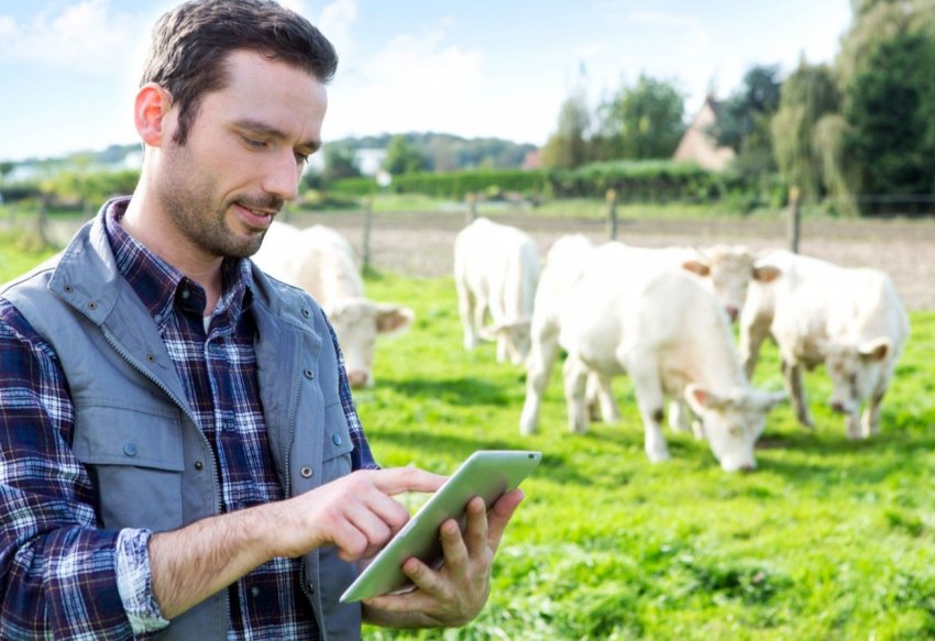 Фермери США отримають державну допомогу в розмірі 16 мільярдів доларів Фермери США отримають державну допомогу в розмірі 16 мільярдів доларів