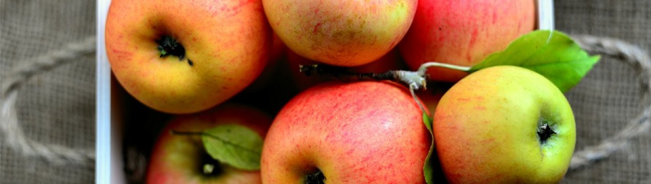 Яблука в Україні можуть стати дефіцитом