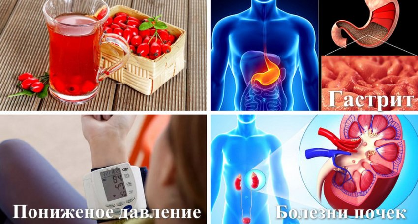 Показання до помірного вживання шипшини