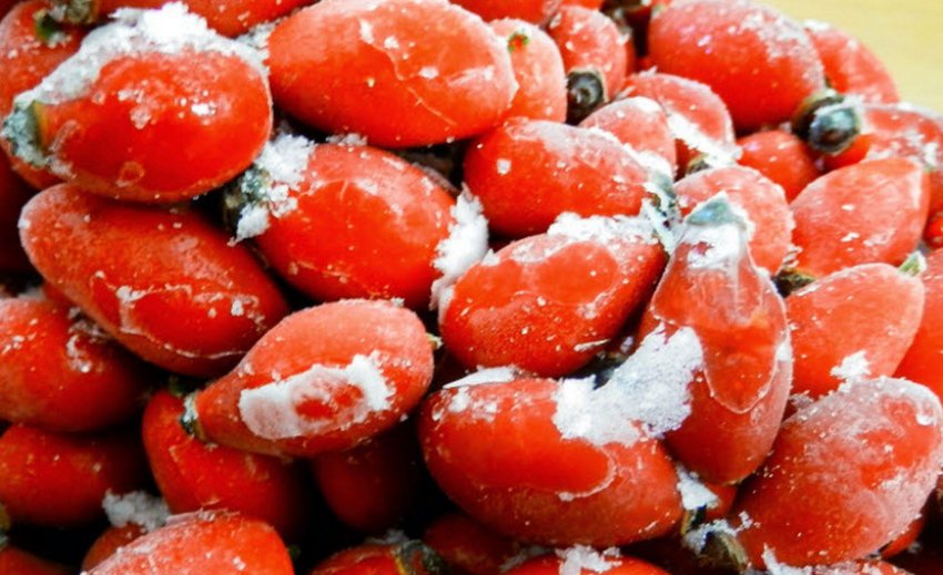 Заморожена шипшина