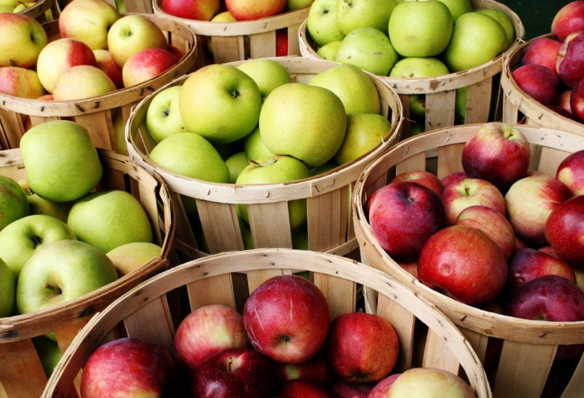 Яблука в Україні можуть стати дефіцитом Яблука в Україні можуть стати дефіцитом