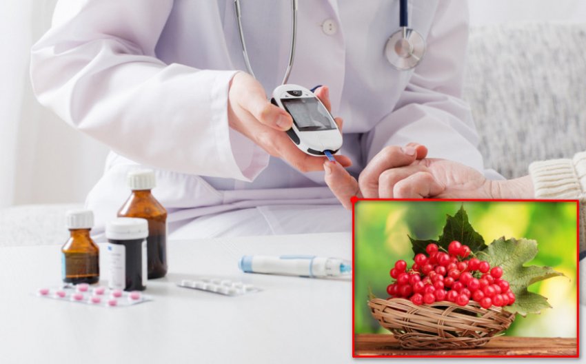 Калина при діабеті