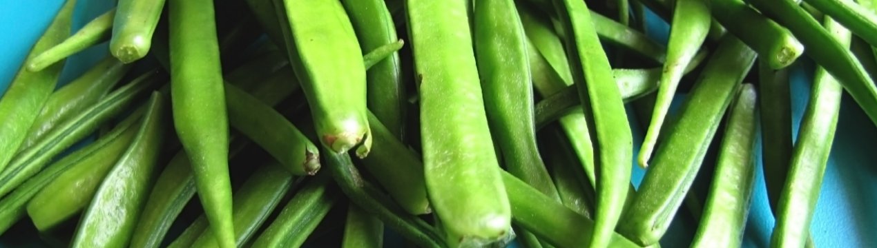 На кримських городах заколоситься загадковий гуар