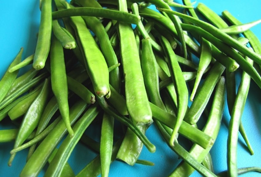 На кримських городах заколоситься загадковий гуар