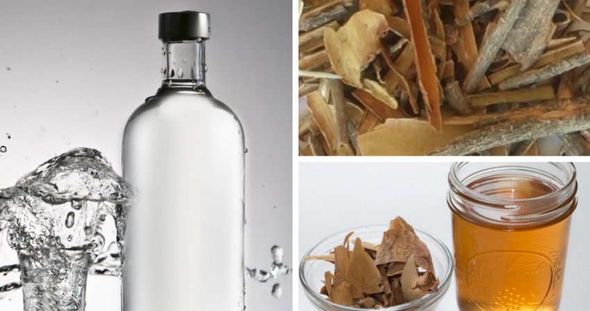 Приготування настоянки з кори калини