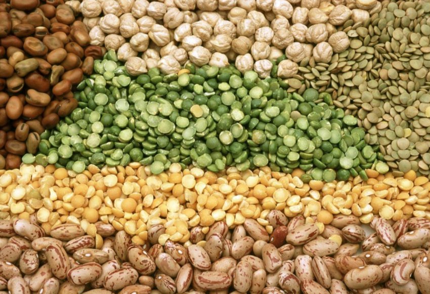 Збиральна кампанія Білорусі виконана майже на 40 відсотків Збиральна кампанія Білорусі виконана майже на 40 відсотків