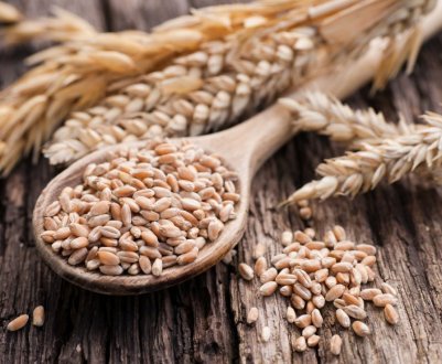 Збиральна кампанія Білорусі виконана майже на 40 відсотків