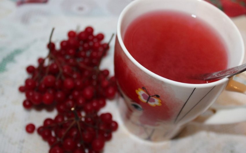 Компот из калины польза