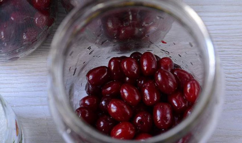 Компот из сухого кизила. 110438.pveqzo.850. Компот из сухого кизила фото. Компот из сухого кизила-110438.pveqzo.850. картинка Компот из сухого кизила. картинка 110438.pveqzo.850. Добавить в избранное