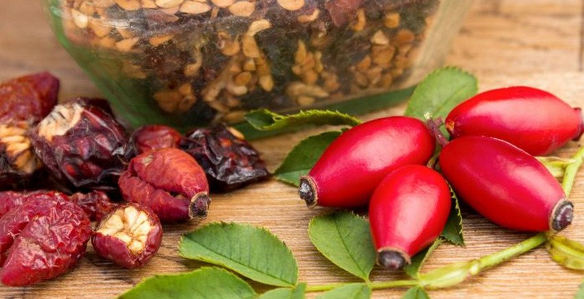 сушений Шипшина і свіжий сушений Шипшина і свіжий