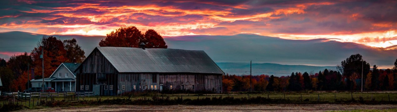 Російські аграрії отримали половину з призначених субсидій