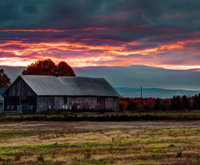 Російські аграрії отримали половину з призначених субсидій
