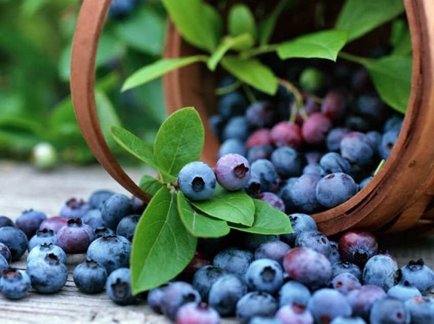 Лохина з України штурмує супермаркетів Lidl Лохина з України штурмує супермаркетів Lidl