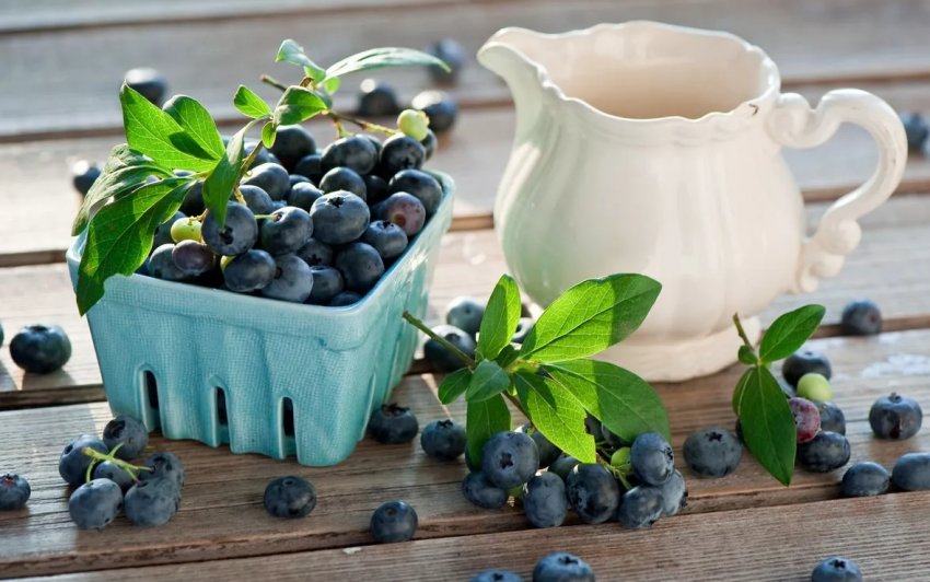 Лохина з України штурмує супермаркетів Lidl Лохина з України штурмує супермаркетів Lidl