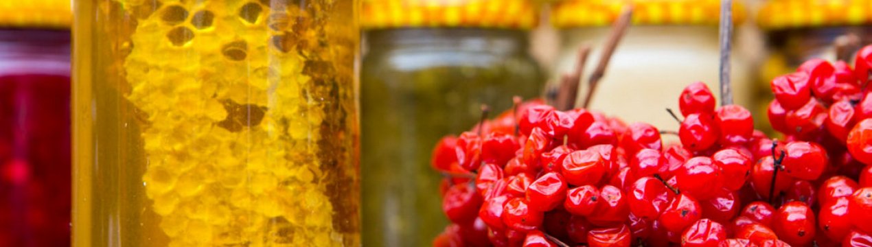 Рецепт калини з медом на зиму