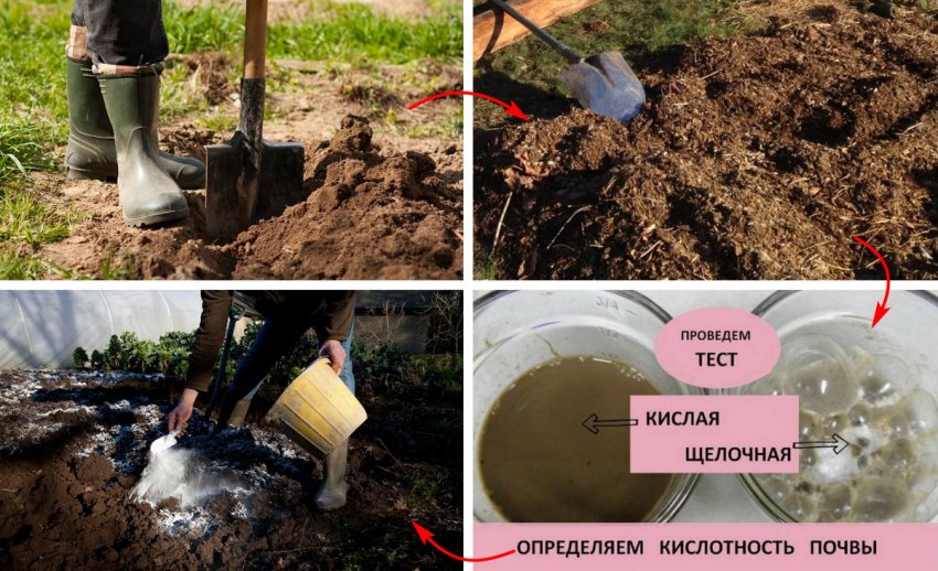 Підготовка місця до посадки Підготовка місця до посадки