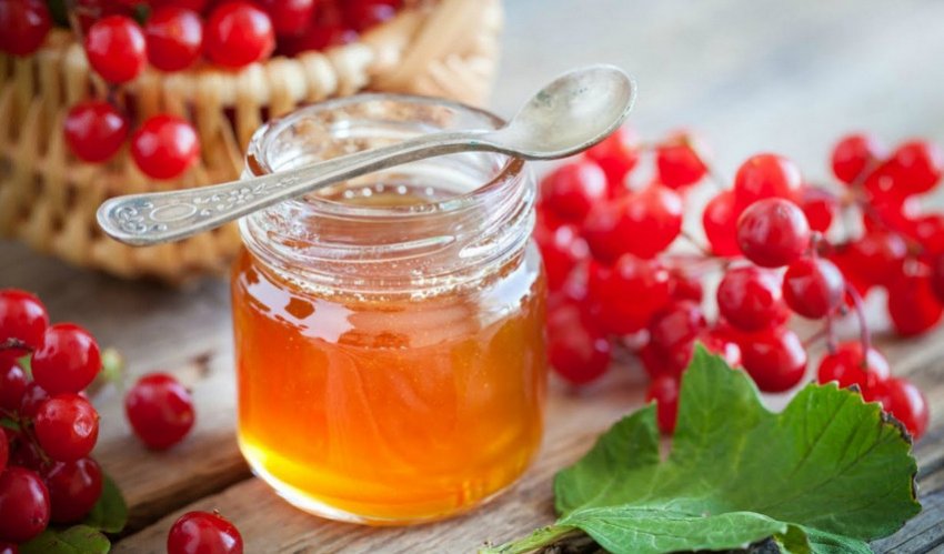 Калина з медом