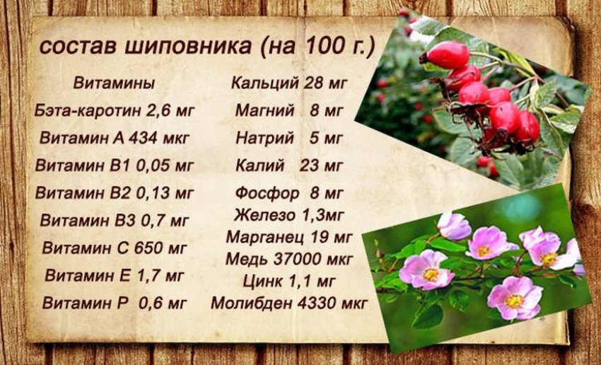 Склад шипшини Склад шипшини