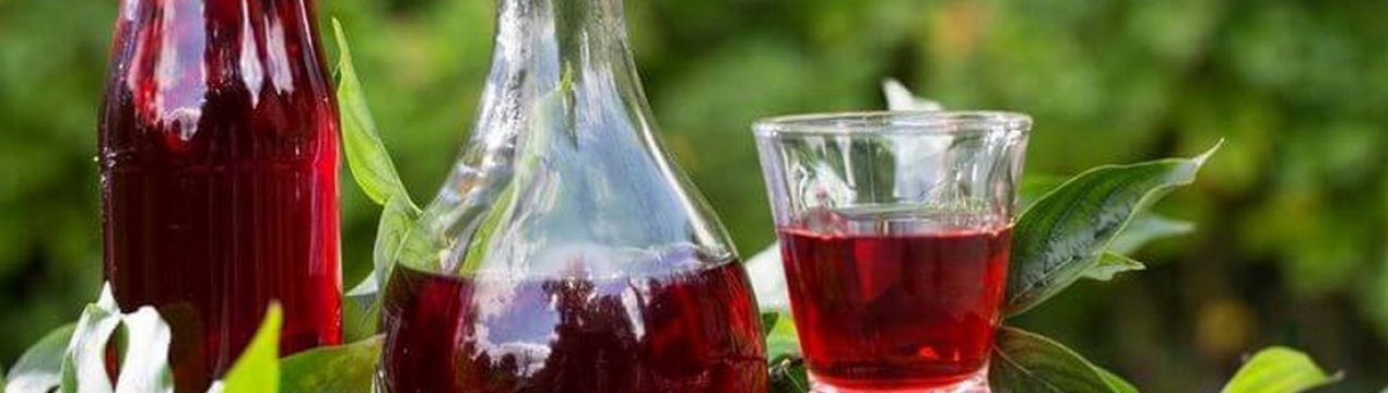 Рецепти вина та іншого алкоголю з кизилу