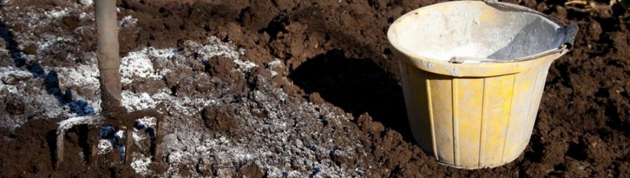 Как можно повысить кислотность почвы для выращивания голубики