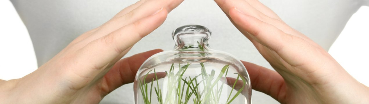 Економіка Нової Зеландії втратить більше 11 мільярдів доларів без ЗЗР