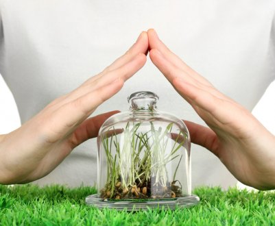 Економіка Нової Зеландії втратить більше 11 мільярдів доларів без ЗЗР