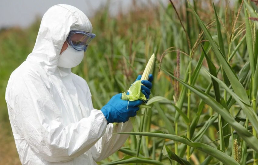 Економіка Нової Зеландії втратить більше 11 мільярдів доларів без ЗЗР Економіка Нової Зеландії втратить більше 11 мільярдів доларів без ЗЗР