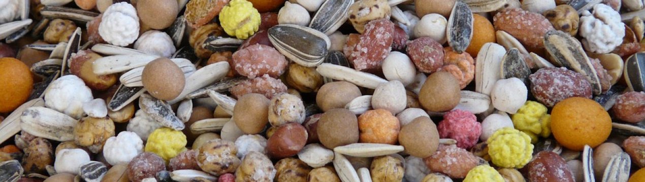 Завод в Чилі модернізують для випуску ГМО-насіння