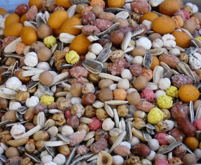 Завод в Чилі модернізують для випуску ГМО-насіння