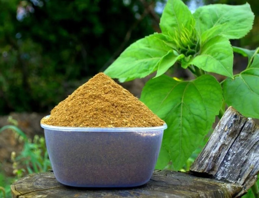 В РФ зростає виробництво м'ясо-кісткового борошна В РФ зростає виробництво м'ясо-кісткового борошна