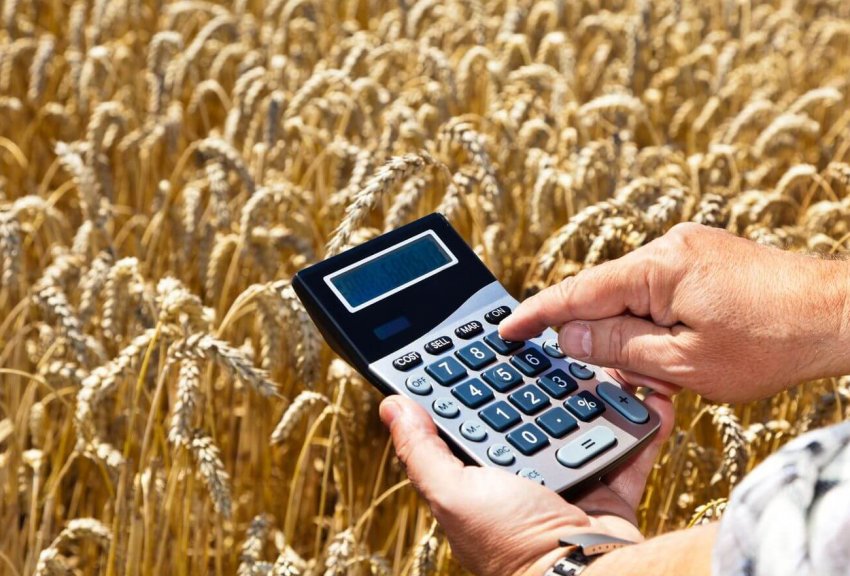 Російські аграрії отримали половину з призначених субсидій Російські аграрії отримали половину з призначених субсидій