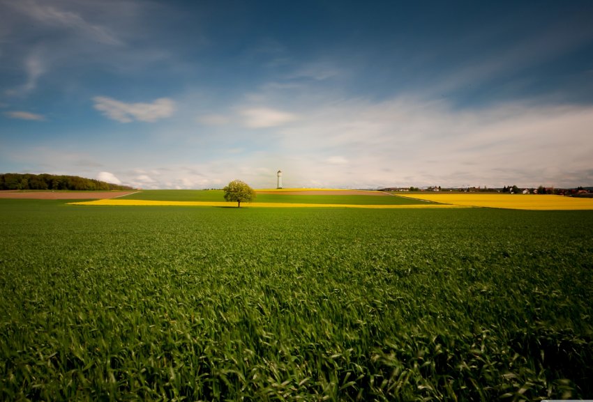 Уряд РФ приманює аграріїв забайкальскими і бурятськими «гектарами» Уряд РФ приманює аграріїв забайкальскими і бурятськими «гектарами»