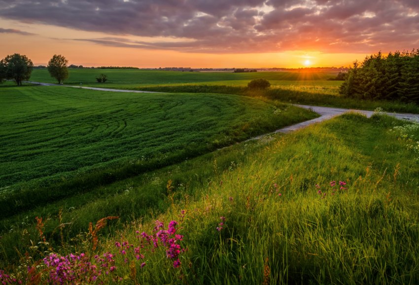 Уряд РФ приманює аграріїв забайкальскими і бурятськими «гектарами» Уряд РФ приманює аграріїв забайкальскими і бурятськими «гектарами»