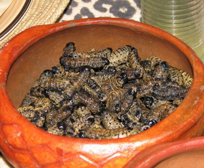 Фермери ПАР вирощують черв'яків і личинок для кейптаунського ресторану