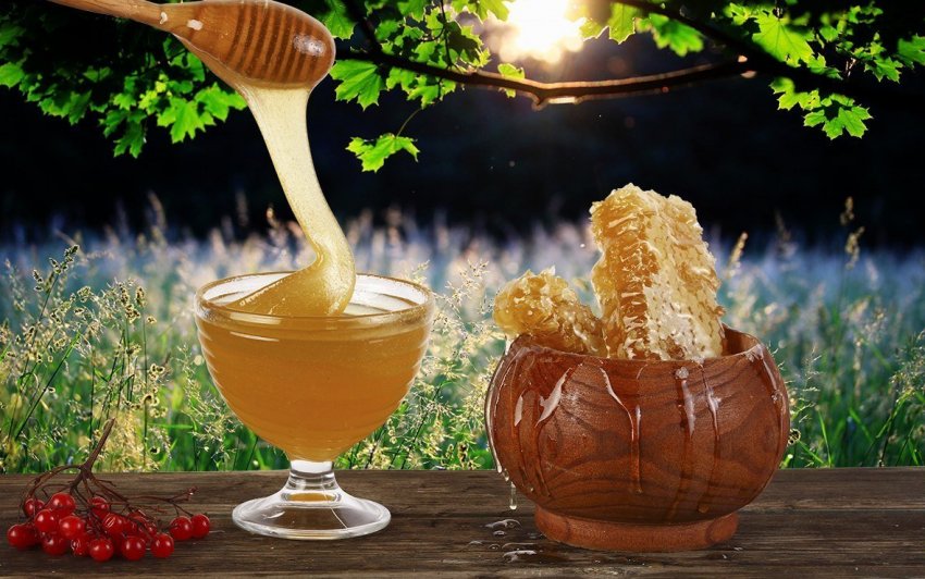 Полтавські пасічники незадоволені урожаєм меду в цьому році Полтавські пасічники незадоволені урожаєм меду в цьому році