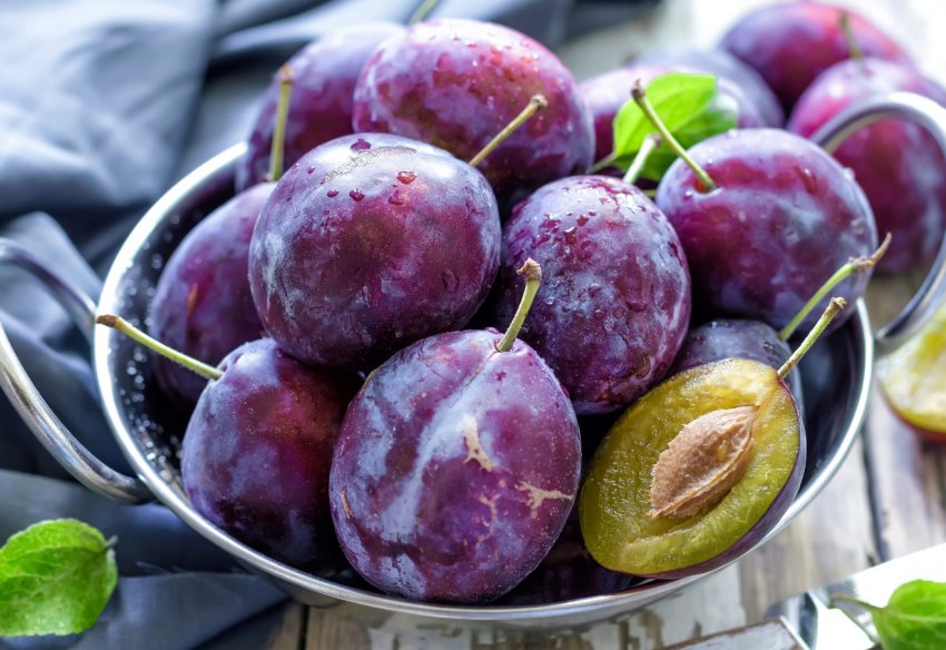 Зливу стала найдешевшим фруктом в Україні Зливу стала найдешевшим фруктом в Україні