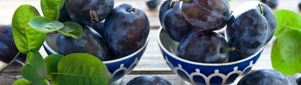 Слива стала найдешевшим фруктом в Україні