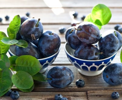 Слива стала найдешевшим фруктом в Україні 