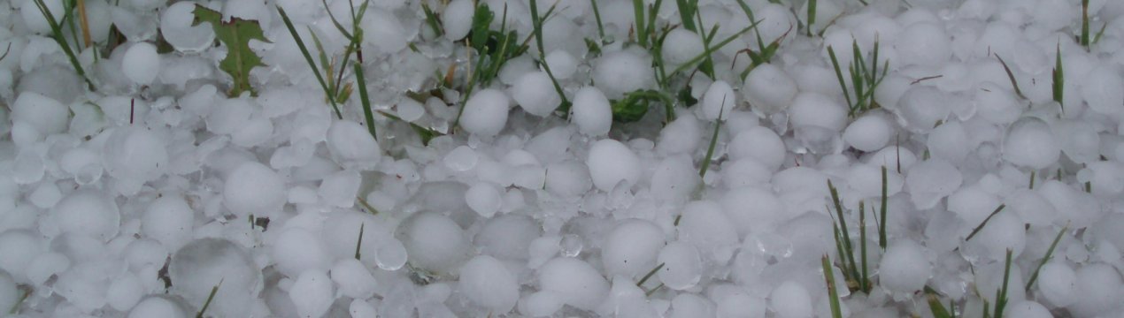 Білоруські теплиці і городи крупний град зрешетив